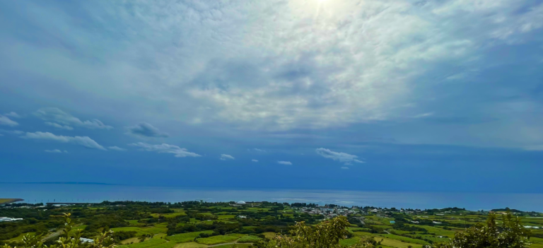 スクリーンショット 2026 02 11 13.30.07