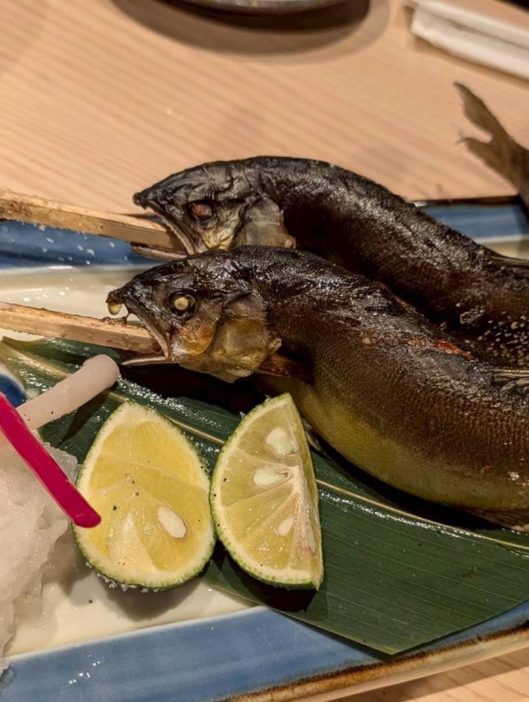 621154401 18037041869770156 8971140945296208379 n